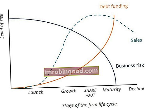 Životní cyklus podnikového financování