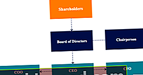 Organizācijas izpilddirektora, valdes un akcionāru diagramma