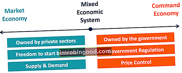 Mis on segatud majandussüsteem?