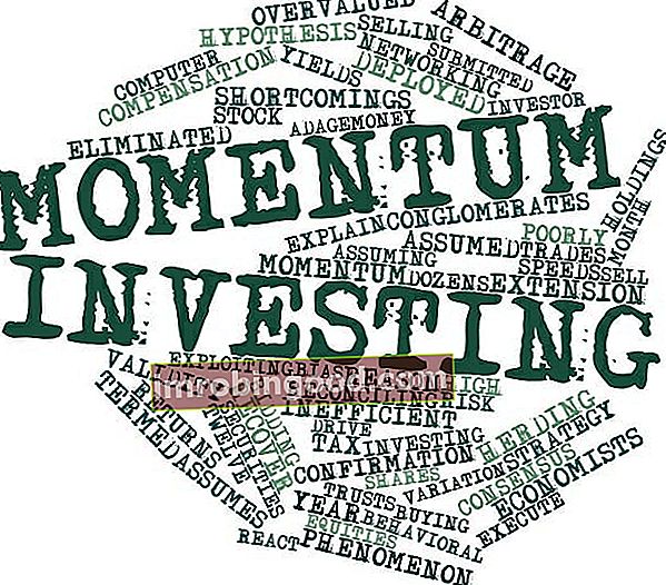 Momentum Investing