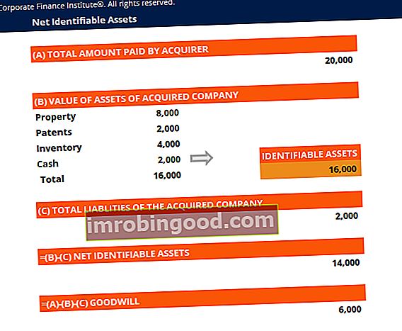 Screenshot šablony identifikátoru čistého majetku
