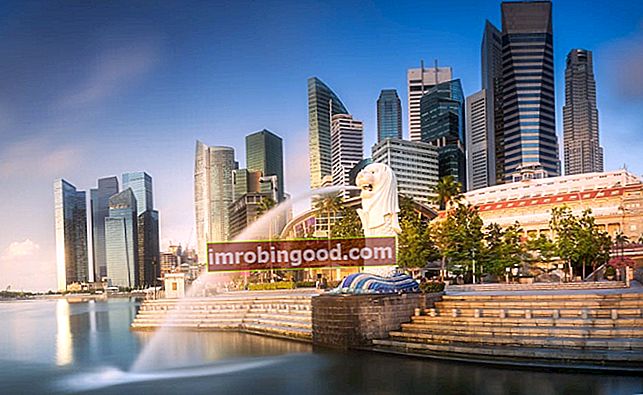 Finansinio modeliavimo kursai Singapūras