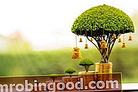 Kuuluisien sijoittajien kuva - kultakolikoita ja rahakassi puita