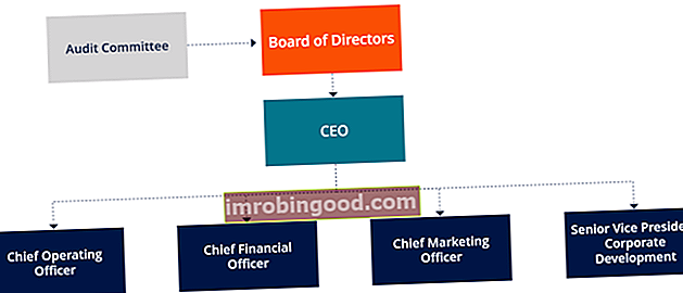 Direktorite nõukogu - organisatsiooniline skeem