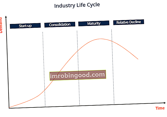 Neigiamas augimas - pramonės gyvavimo ciklas