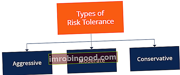 Толеранција на ризик - врсте