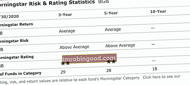 Koks yra „Morningstar“ rizikos įvertinimas?