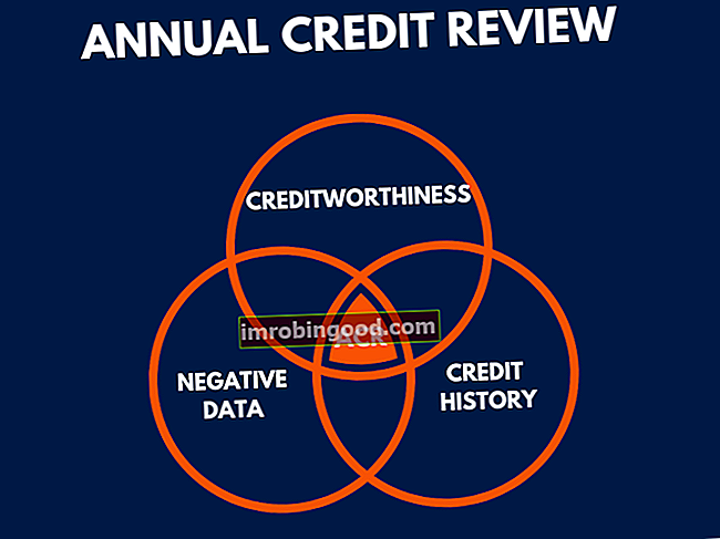 Metinė kredito apžvalga