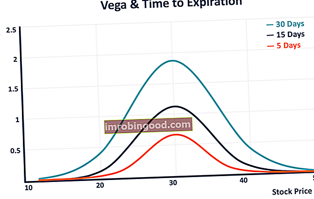 Vega ir laikas iki galiojimo pabaigos