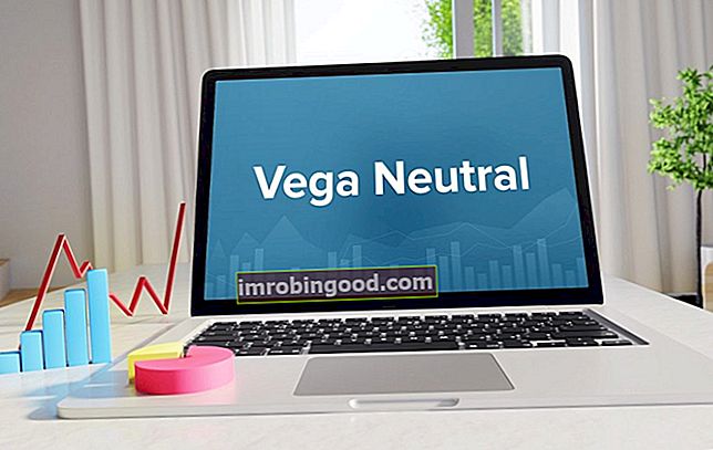 Mis on Vega Neutral?