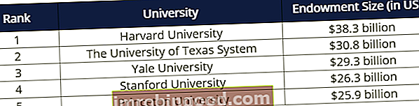 Suurimad Põhja-Ameerika ülikoolide sihtkapitalid