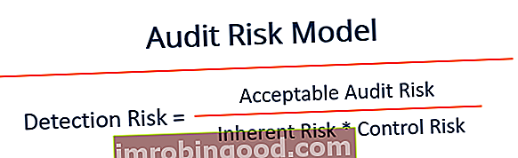 Co je model rizika auditu?