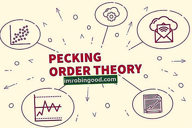 Kas yra „Pecking Order“ teorija?