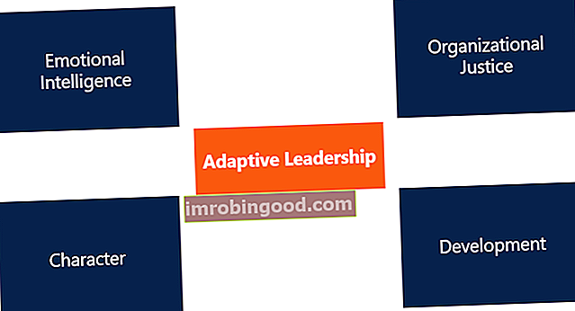 Neli adaptiivse juhtimise põhimõtet