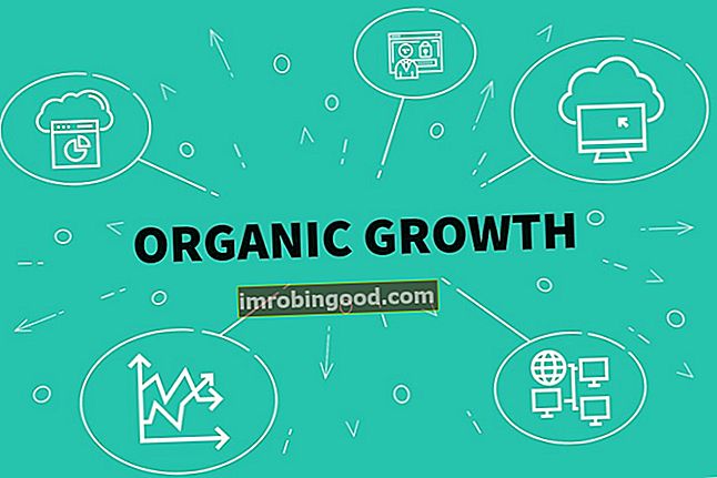 Kas ir organiskā izaugsme?
